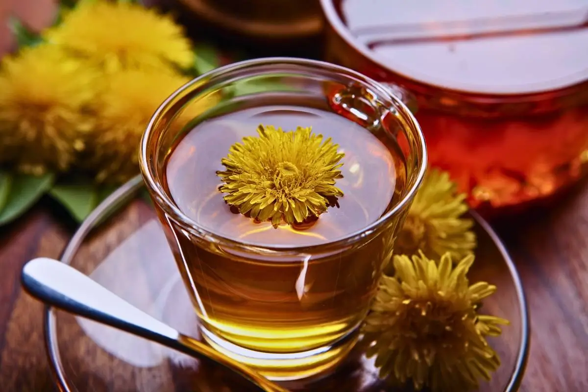 Revigore-se com um Chá Emagrecedor Natural: A Combinação Perfeita de Dente-de-leão, Centelha e Alfafa!