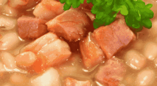 cropped-Webstories_Mocoto-com-feijao-branco.png