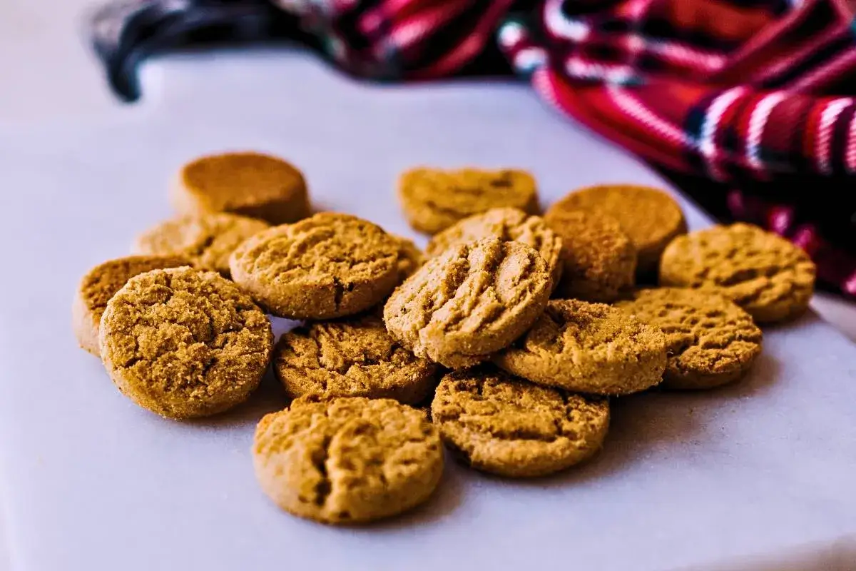 Biscoito Rápido Light: Sabor e Saúde em Minutos!